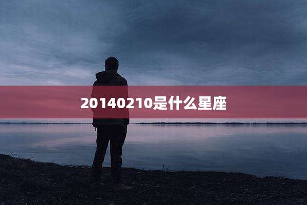 20140210是什么星座