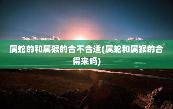 属蛇的和属猴的合不合适(属蛇和属猴的合得来吗)
