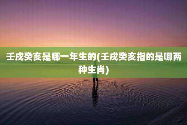 壬戌癸亥是哪一年生的(壬戌癸亥指的是哪两种生肖)