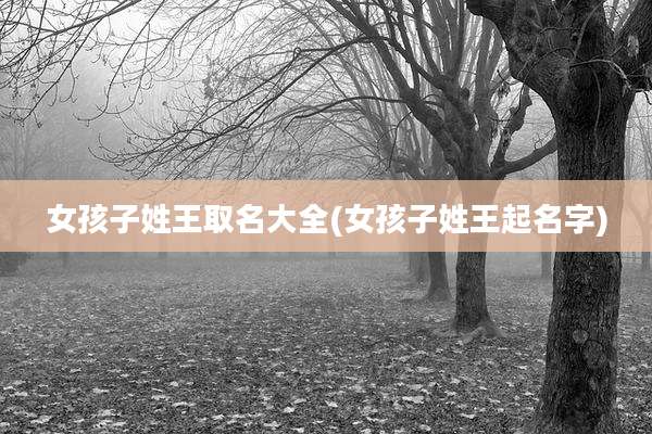女孩子姓王取名大全(女孩子姓王起名字)