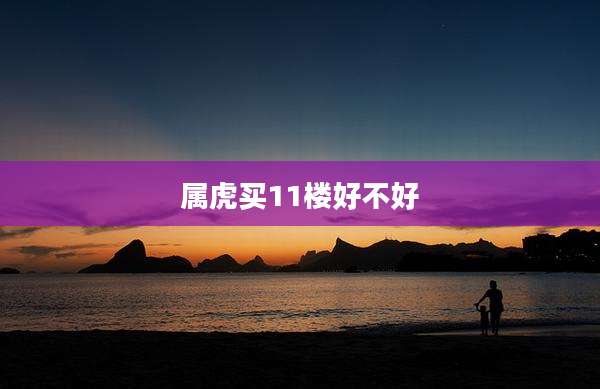 属虎买11楼好不好