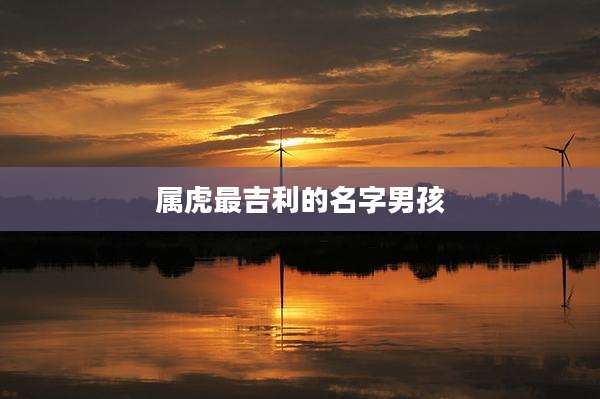 属虎最吉利的名字男孩