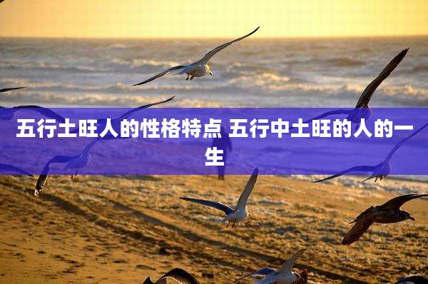 五行土旺人的性格特点 五行中土旺的人的一生