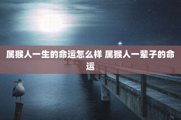 属猴人一生的命运怎么样 属猴人一辈子的命运