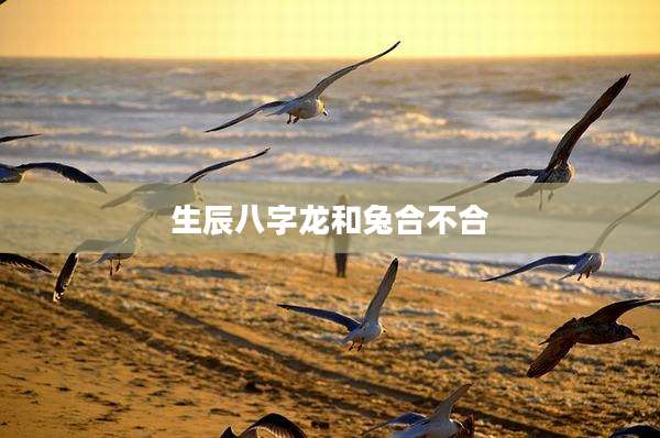 生辰八字龙和兔合不合