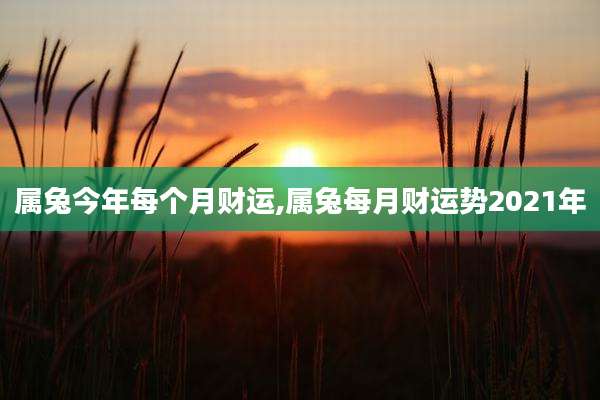 属兔今年每个月财运,属兔每月财运势2021年
