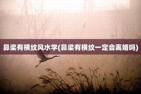 鼻梁有横纹风水学(鼻梁有横纹一定会离婚吗)
