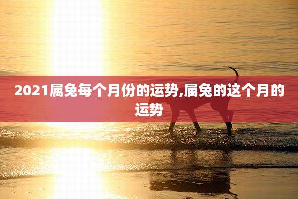 2021属兔每个月份的运势,属兔的这个月的运势