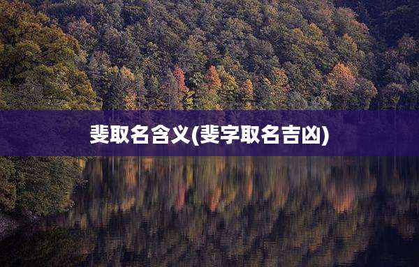 斐取名含义(斐字取名吉凶)