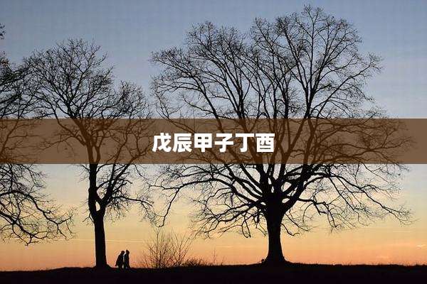 戊辰甲子丁酉