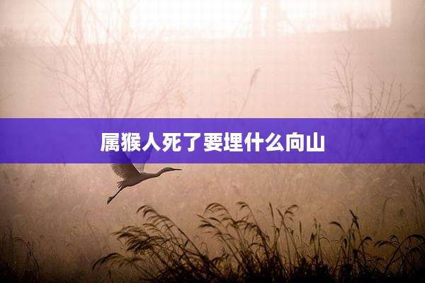 属猴人死了要埋什么向山