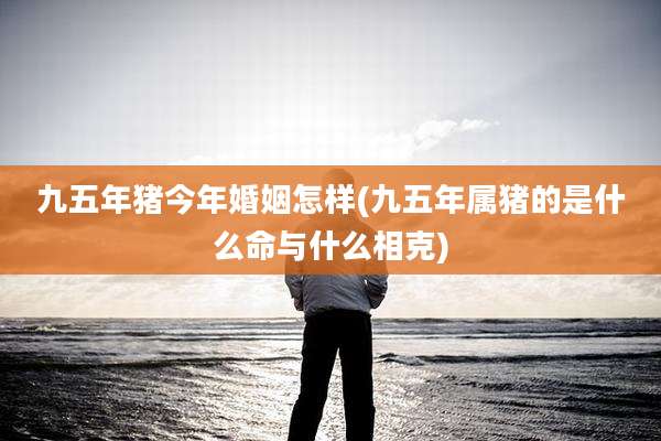 九五年猪今年婚姻怎样(九五年属猪的是什么命与什么相克)
