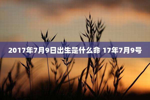 2017年7月9日出生是什么命 17年7月9号