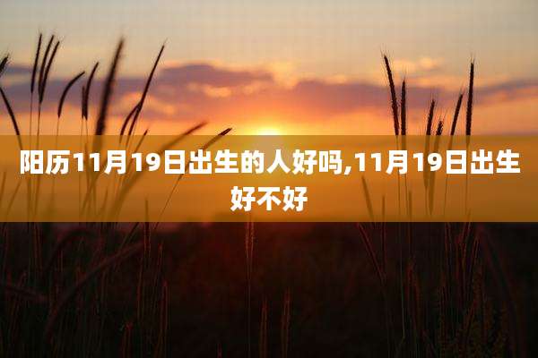 阳历11月19日出生的人好吗,11月19日出生好不好