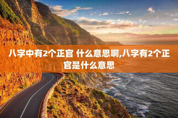 八字中有2个正官 什么意思啊,八字有2个正官是什么意思