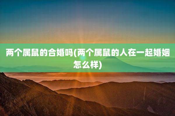 两个属鼠的合婚吗(两个属鼠的人在一起婚姻怎么样)