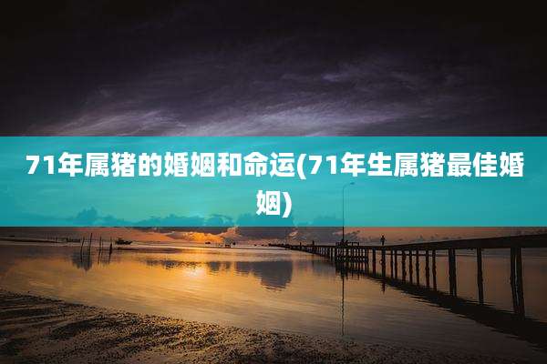 71年属猪的婚姻和命运(71年生属猪最佳婚姻)