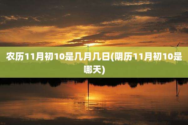 农历11月初10是几月几日(阴历11月初10是哪天)