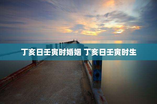 丁亥日壬寅时婚姻 丁亥日壬寅时生