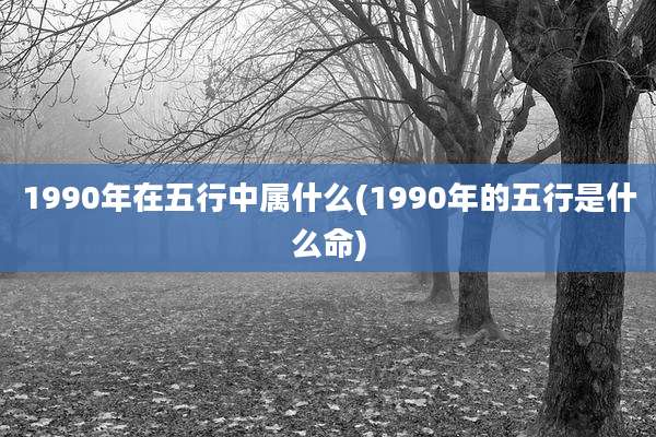 1990年在五行中属什么(1990年的五行是什么命)