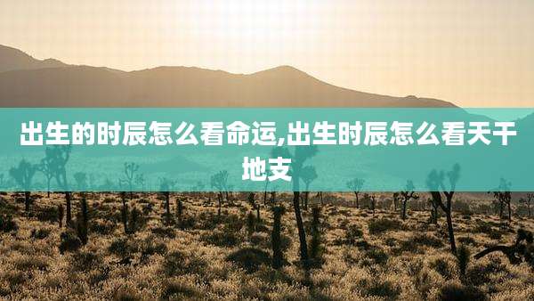 出生的时辰怎么看命运,出生时辰怎么看天干地支