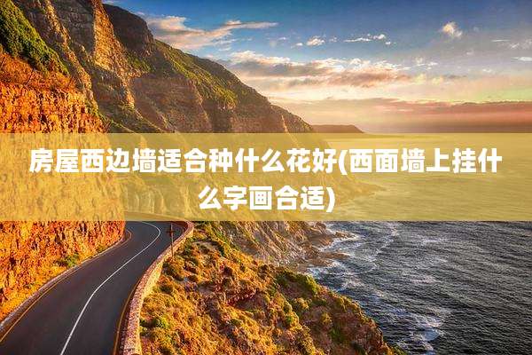 房屋西边墙适合种什么花好(西面墙上挂什么字画合适)