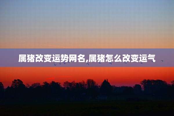 属猪改变运势网名,属猪怎么改变运气