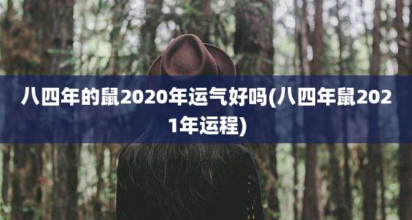 八四年的鼠2020年运气好吗(八四年鼠2021年运程)