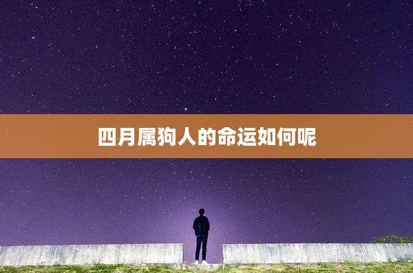 四月属狗人的命运如何呢