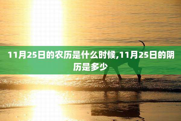 11月25日的农历是什么时候,11月25日的阴历是多少