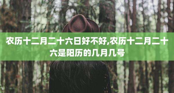 农历十二月二十六日好不好,农历十二月二十六是阳历的几月几号