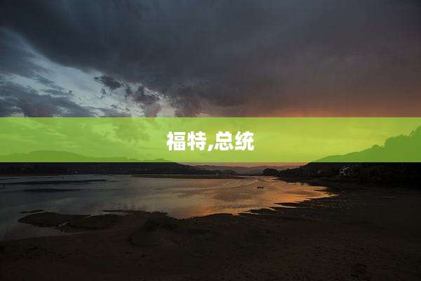 福特,总统