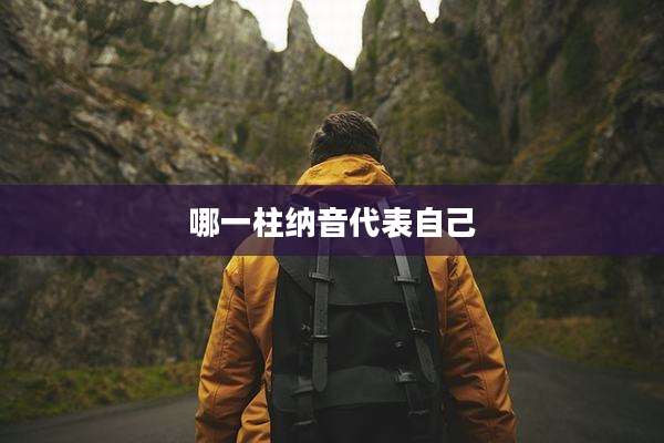 哪一柱纳音代表自己