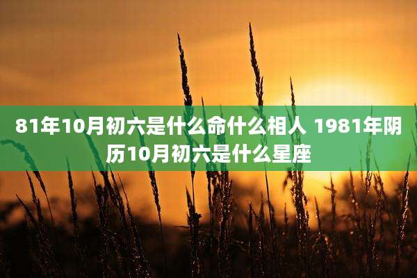 81年10月初六是什么命什么相人 1981年阴历10月初六是什么星座