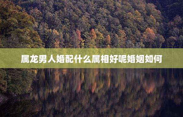 属龙男人婚配什么属相好呢婚姻如何