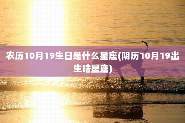 农历10月19生日是什么星座(阴历10月19出生啥星座)
