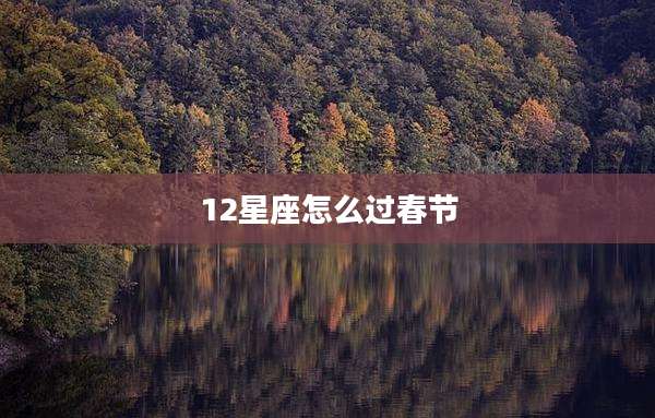 12星座怎么过春节