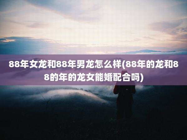 88年女龙和88年男龙怎么样(88年的龙和88的年的龙女能婚配合吗)