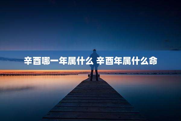 辛酉哪一年属什么 辛酉年属什么命