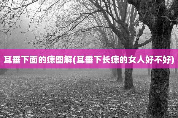 耳垂下面的痣图解(耳垂下长痣的女人好不好)