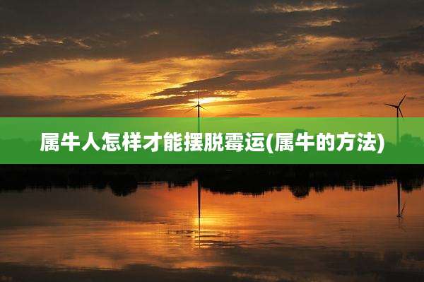 属牛人怎样才能摆脱霉运(属牛的方法)