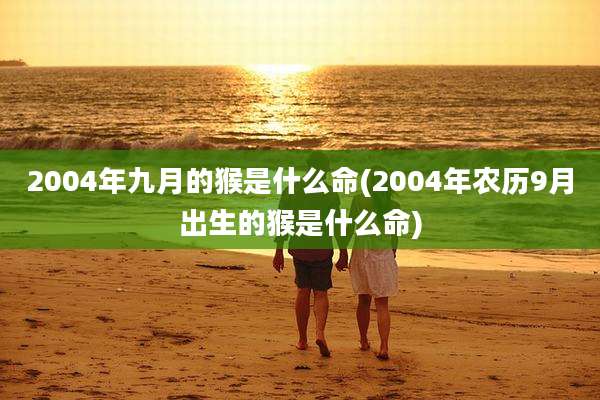 2004年九月的猴是什么命(2004年农历9月出生的猴是什么命)