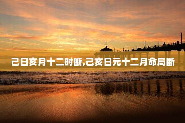 己日亥月十二时断,己亥日元十二月命局断