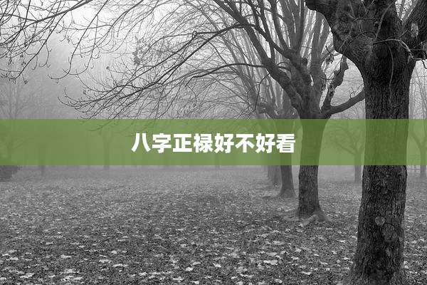 八字正禄好不好看