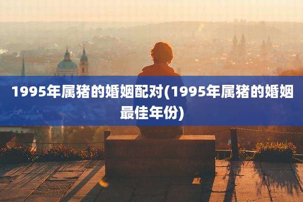 1995年属猪的婚姻配对(1995年属猪的婚姻最佳年份)