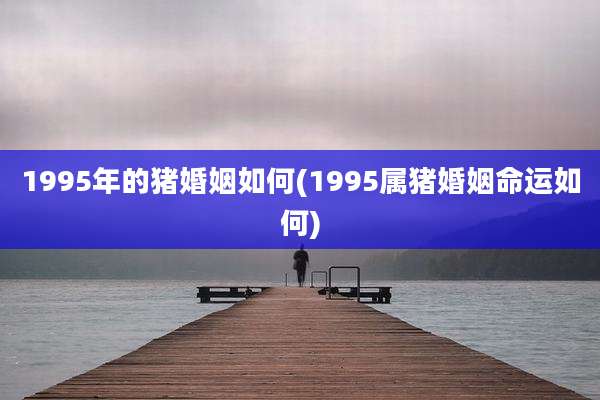 1995年的猪婚姻如何(1995属猪婚姻命运如何)