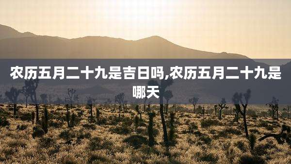 农历五月二十九是吉日吗,农历五月二十九是哪天