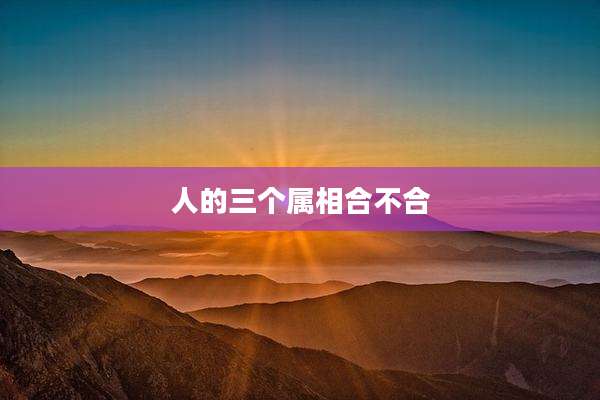 人的三个属相合不合