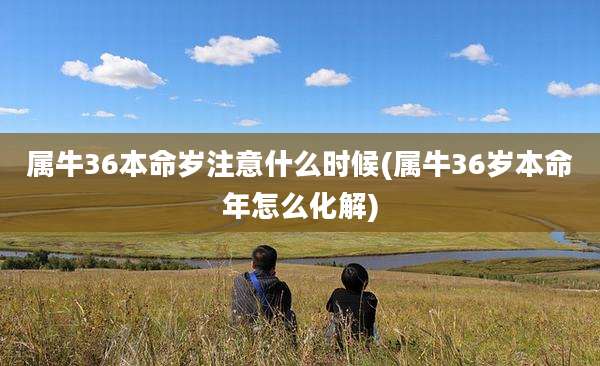 属牛36本命岁注意什么时候(属牛36岁本命年怎么化解)