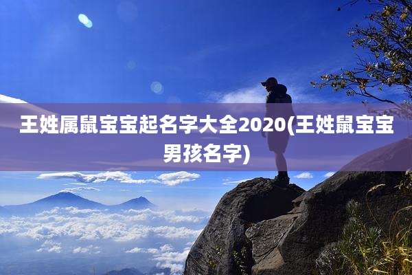 王姓属鼠宝宝起名字大全2020(王姓鼠宝宝男孩名字)